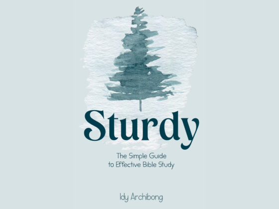 Sturdy: The Simple Guide to Effective Bible Study