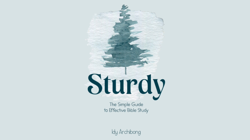 Sturdy: The Simple Guide to Effective Bible Study